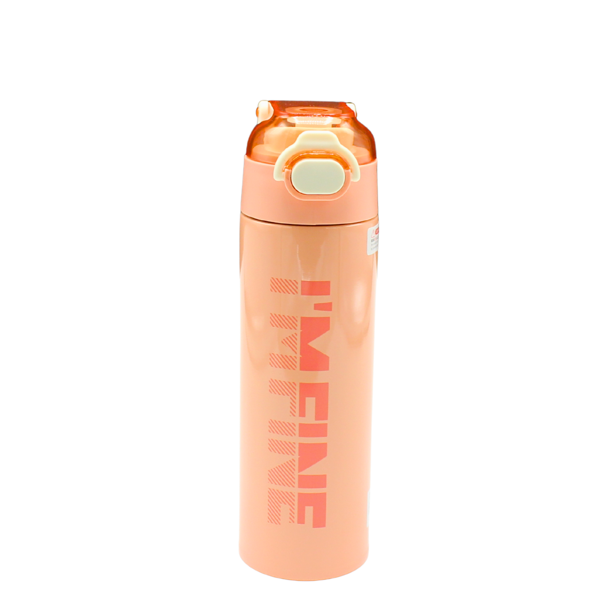 Fine Stainless Water Bottle