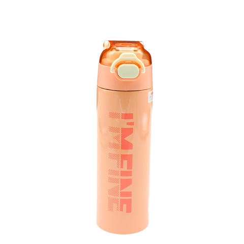 Fine Stainless Water Bottle