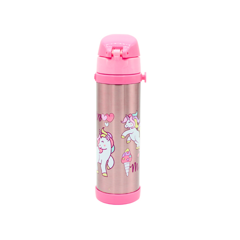 Character Stainless Water Bottle (500ml)