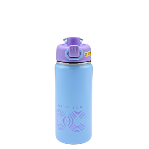 Sleek Stainless bottle
