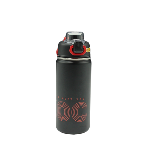 Sleek Stainless bottle