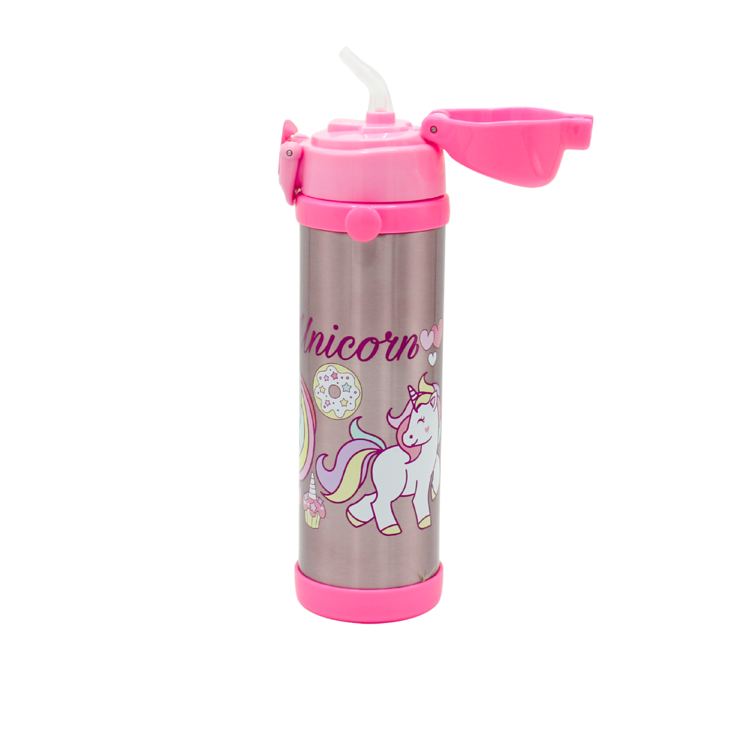Character Stainless Water Bottle (500ml)