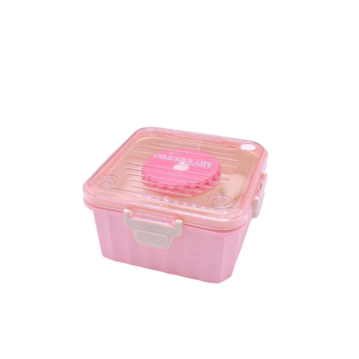 Tiffin Lunch Box
