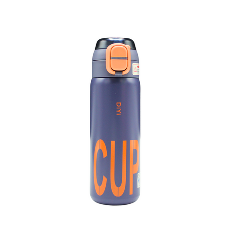 Sleek Stainless Steel Water Bottle