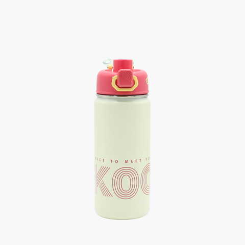 Sleek Stainless bottle