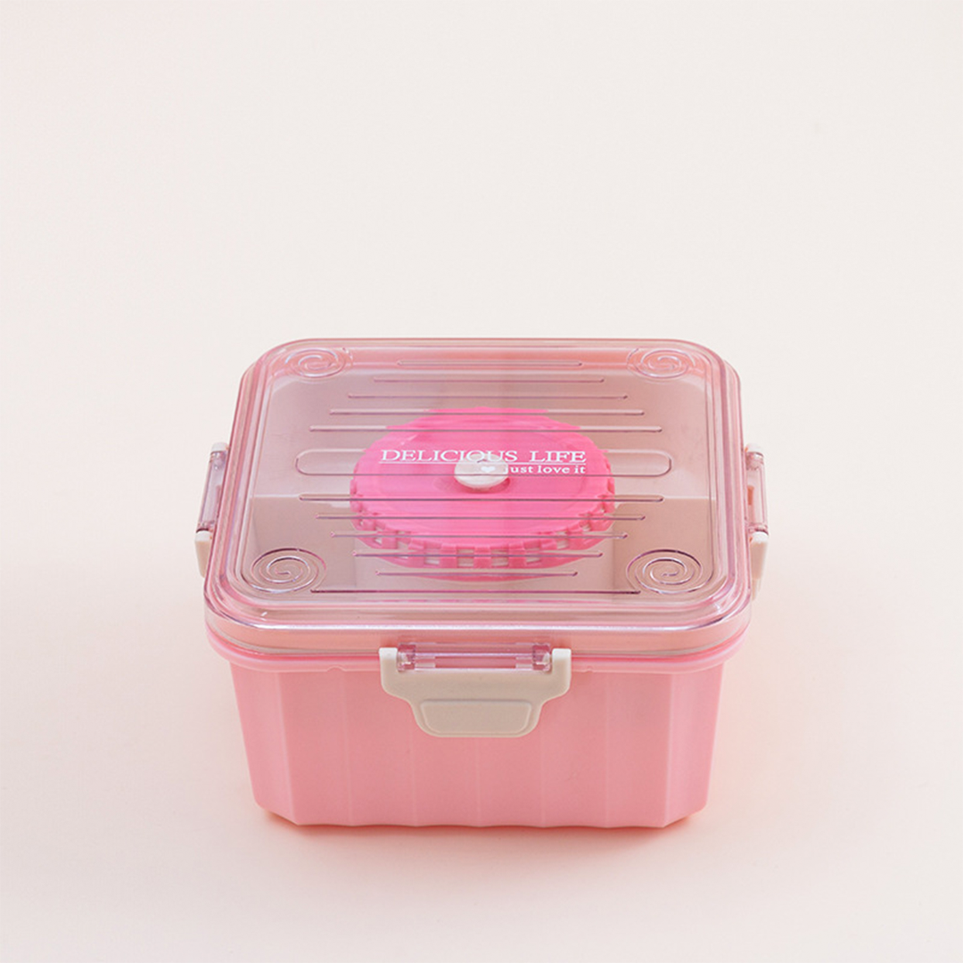 Modern Lunch Box Pink